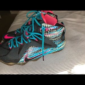lebron 12 south beach